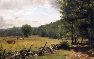 The Meadow