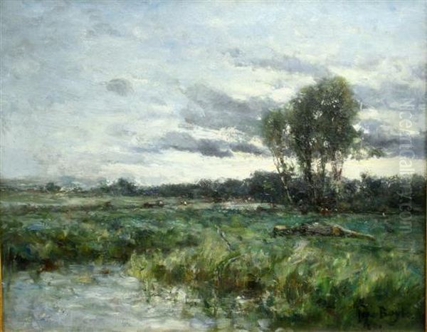 Cattle In A Meadow - view 1