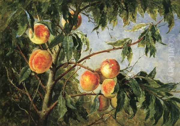 Peaches - view 1