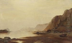 Coast Of Labrador
