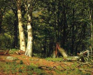 Fallen Birch