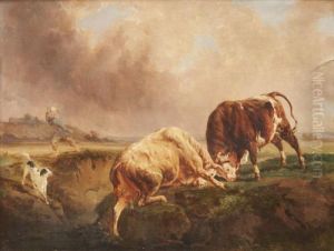 Combat De Taureaux by Jacques Raymond Bracassat