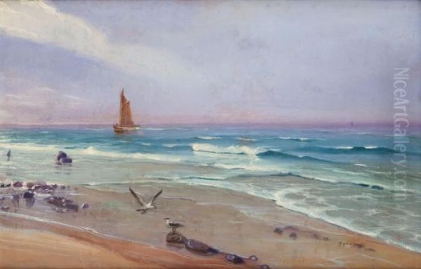 Mewy Nad Morzem - view 1