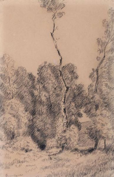 Paysage - view 1