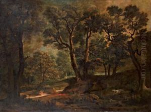 Chasse Dans Une Foret Avec Un Daguet Chasse Dans Une Foret Avec Un Daguet