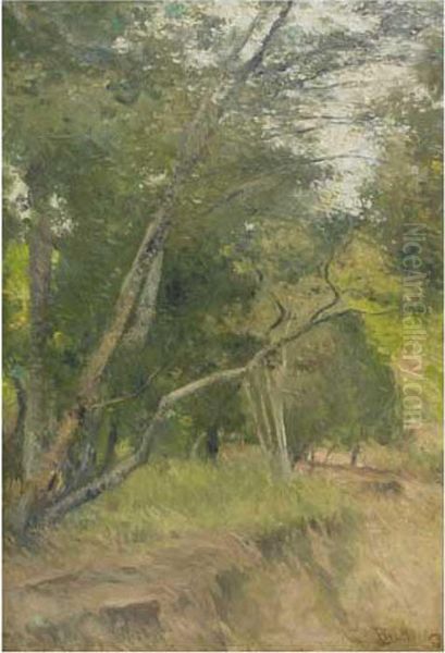 Jardin - view 1