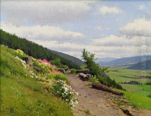 Landschaft Mit Bluhender Wiese