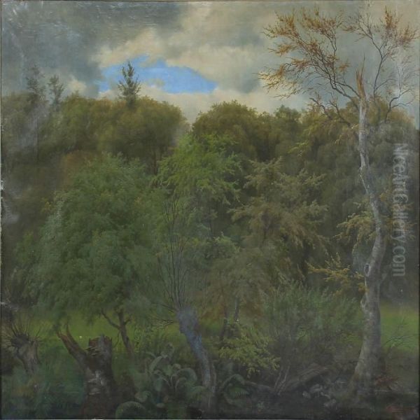 A Spring Forest - view 1