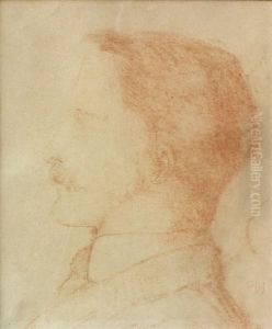Profile Head Of A Young Man