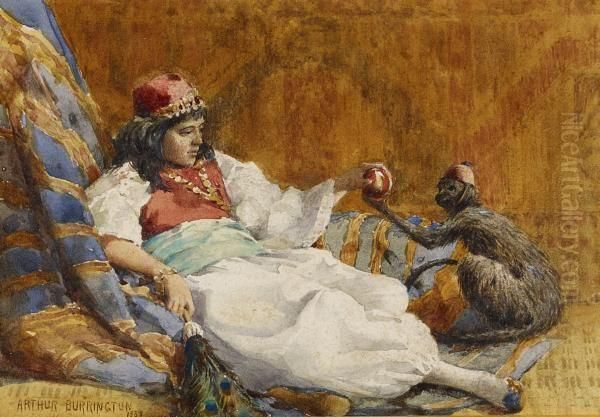 Odalisque With An Ape - view 1
