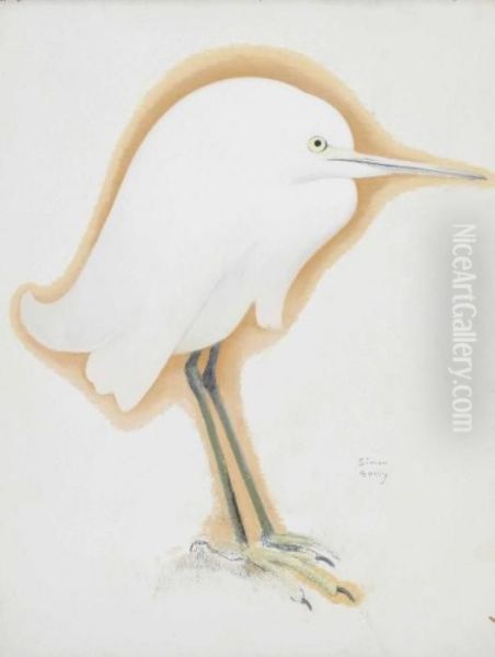 Petite Aigrette - view 1