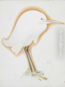 Petite Aigrette by Simon Albert Bussy
