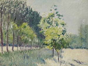 Allee Bordee D'arbres by Gustave Caillebotte