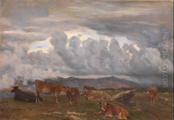 Pascolo In Montagna - view 1
