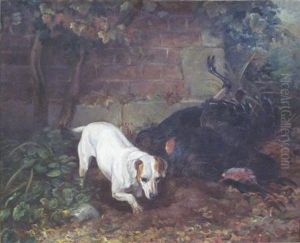 Jack Russell Burying A Turkey