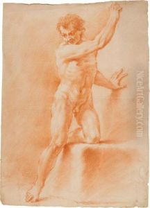 Nudo Virile