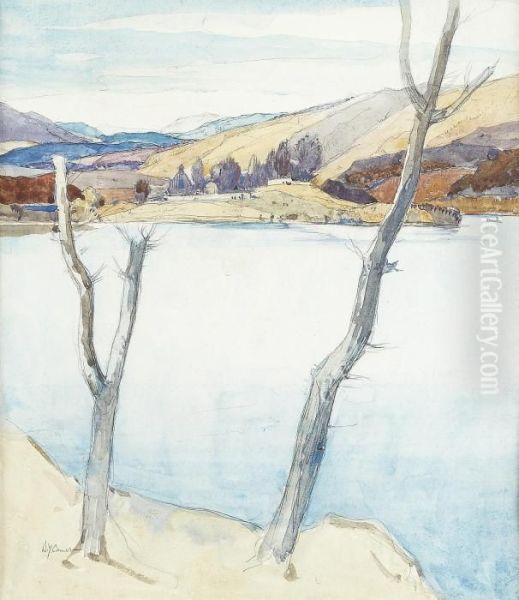 On The Banks Of The Loch - view 1