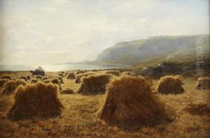 Harvest Time by Duncan Cameron