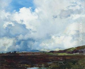 A Windswept Moor