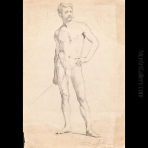 Studio Per Nudo Maschile