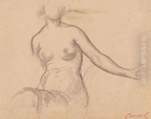 Desnudo Femenino