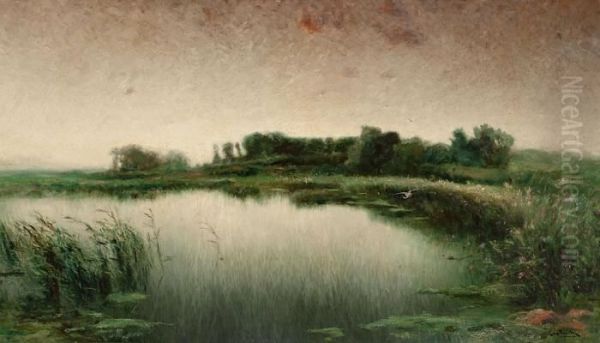 Paisaje - view 1