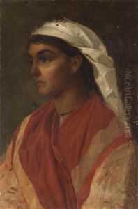 Volto Di Donna Volto Di Donna