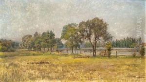 Bords D'etang