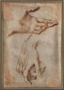 Etude De Mains