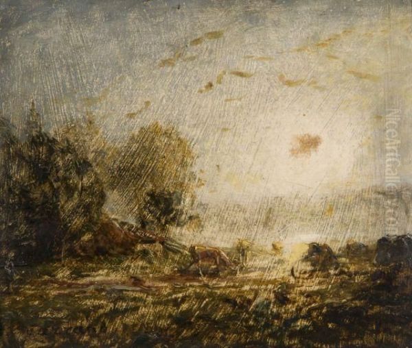 Effet De Lumiere Dans Un Pre - view 1