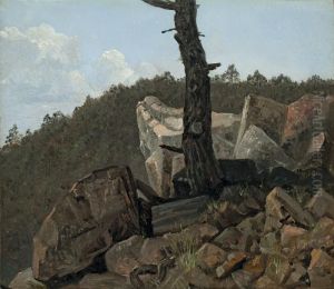 Baum Uber Steinen ("landschaft Aus Dem Sachsischen Mittelgebirge") by Carl Gustav Carus
