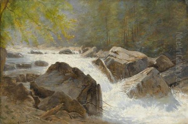 Wilder Gebirgsbach Mit Wasserfall - view 1