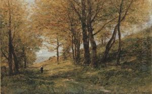 Allee