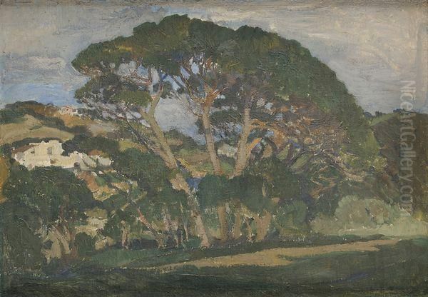Arbres En Foret - view 1