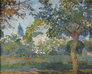 Jardins De La Villa Abd-el-tif A Alger