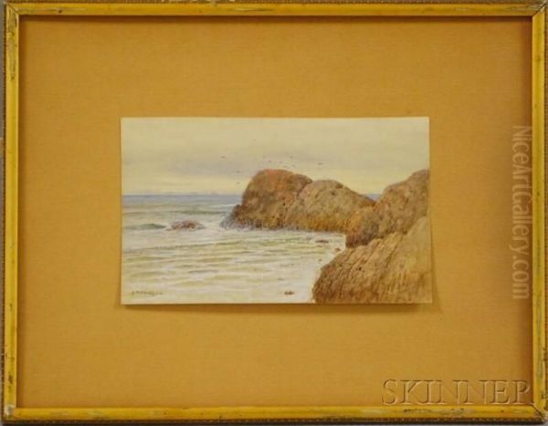 Rocky Coastline - view 1