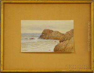 Rocky Coastline by Samuel R. Chaffee