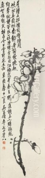 Magnolia - view 1