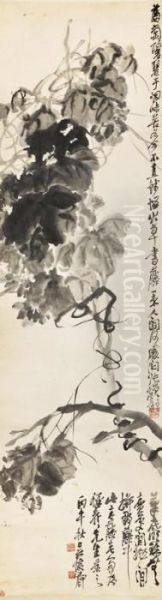 Grape Vines - view 1