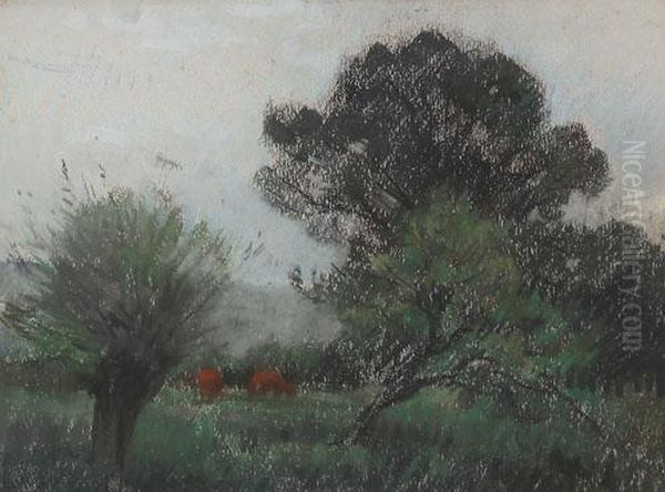 Alberi - view 1