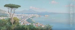 Veduta Di Napoli Con Il Vesuvio