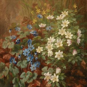Spring Flowers In A Forest Floor