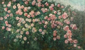 Pink Flower Bush