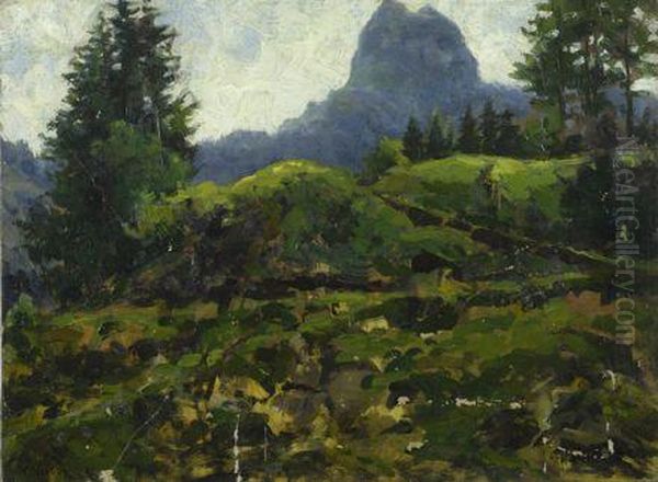 Paesaggio Alpino - view 1