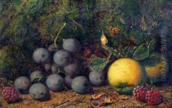 Still Lifes - view 1