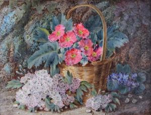 Primulas In A Basket With Blossom Grapes