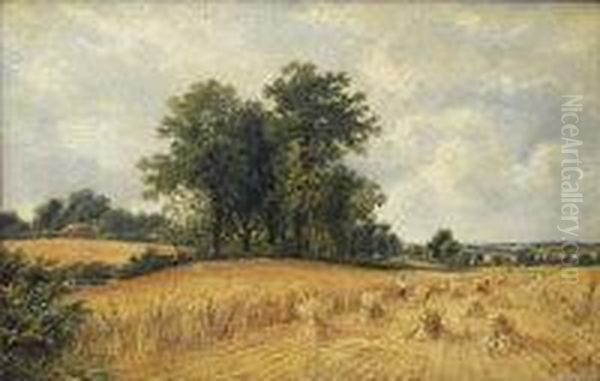 Harvesting Landscape - view 1