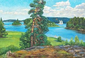 Summer In The Archipelago by Alfred Collin