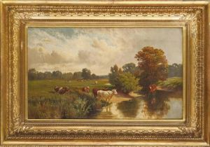 Cattle Watering