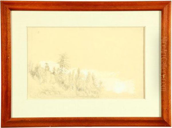 Coleman - view 1